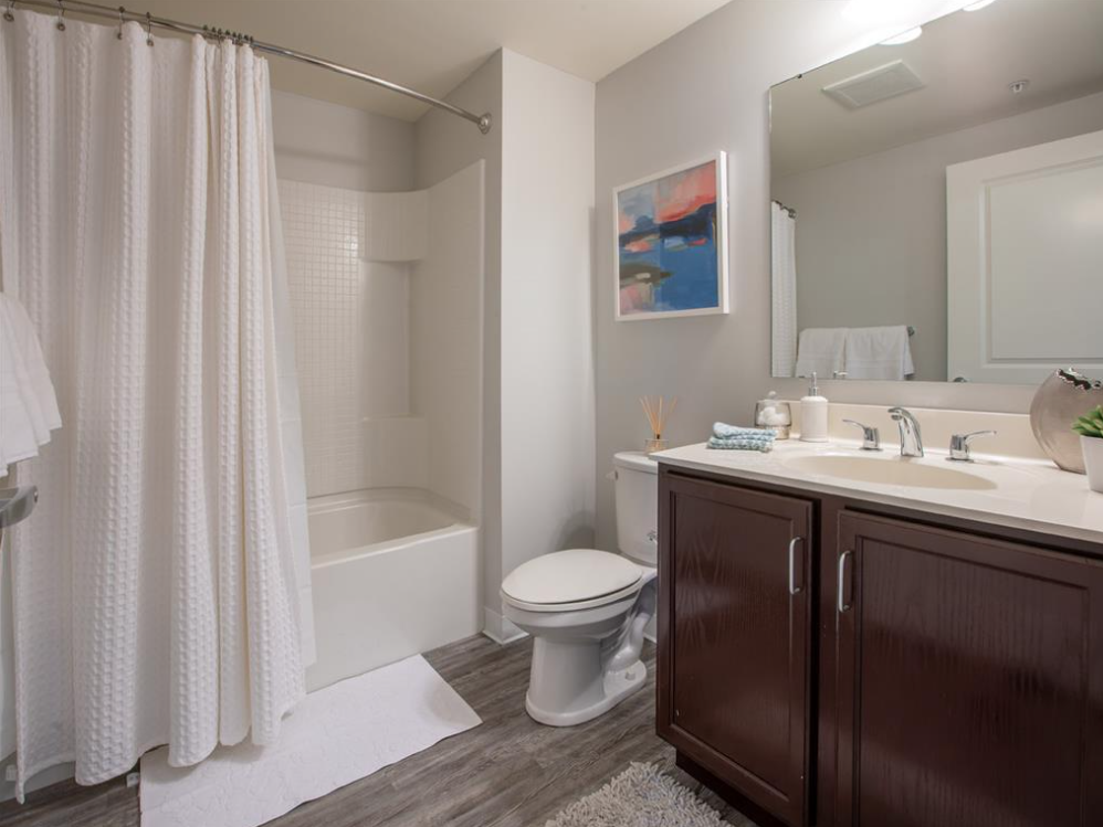 Bathroom with dark vanity