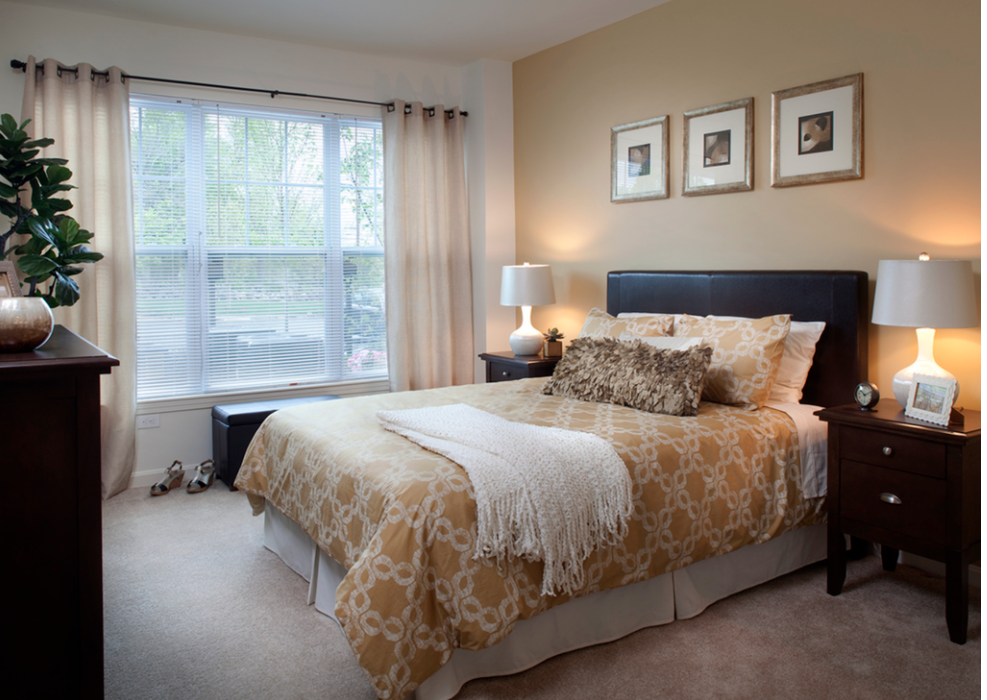 modern Bedroom with windows and carpeting