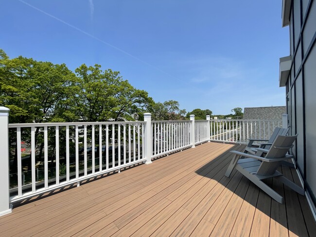 treetop view from roof deck