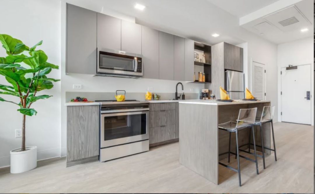 Beautiful modern kitchen