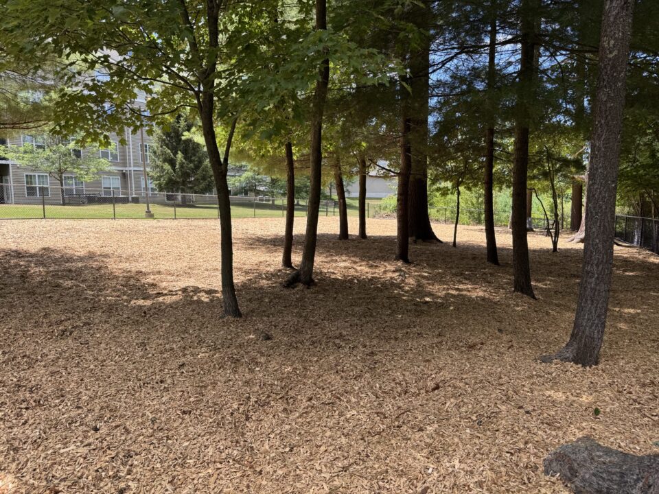 Shaded dog park enclosure with fence, wood chip flooring