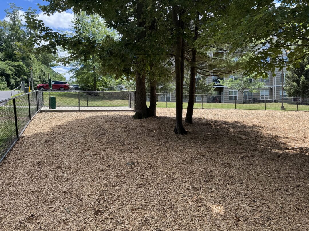 Shaded dog park enclosure with fence, wood chip flooring