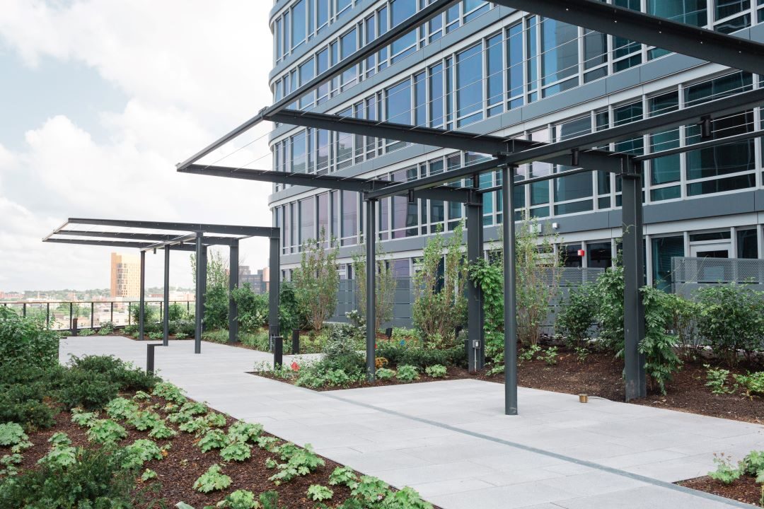 Landscaped rooftop patio with walkways and skyline views