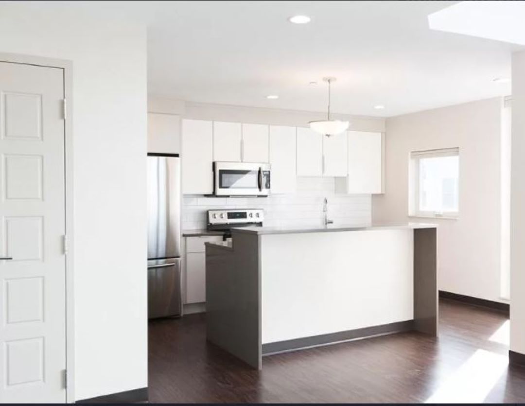 modern kitchen with cabinets at 11 Dorchester Street