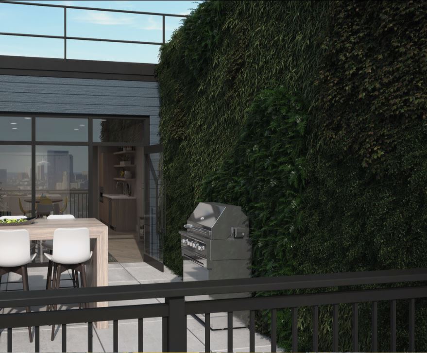 Roof Deck for entertaining