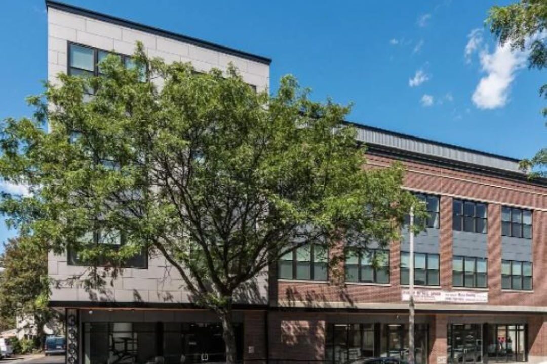 Modern building on tree-lined street