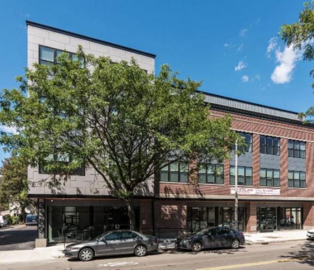 Modern building on tree-lined street