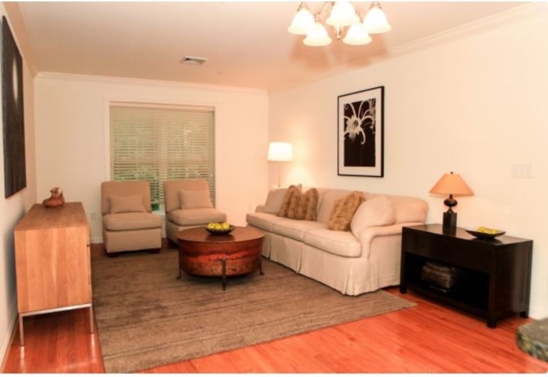 spacious living room at 446 Belgrade Avenue,