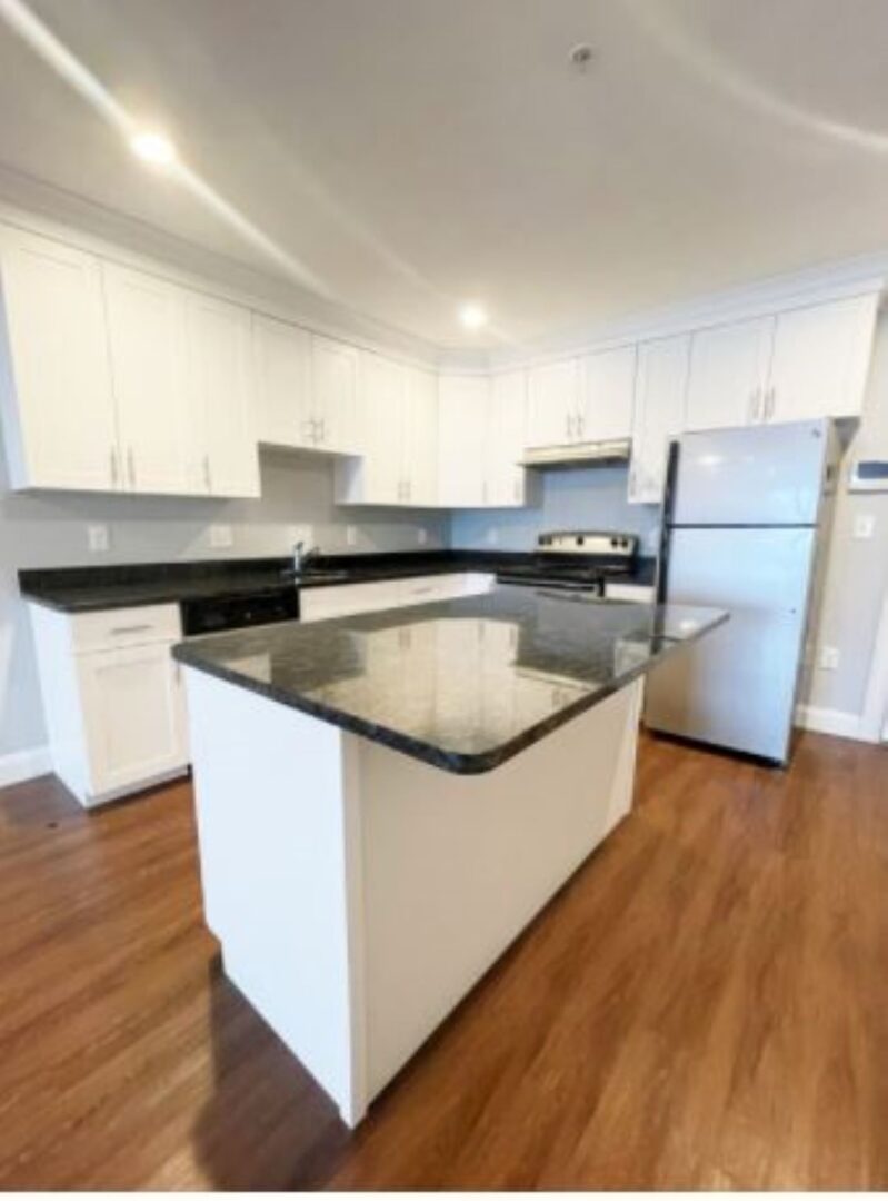 modern kitchen at 32 Harris St.