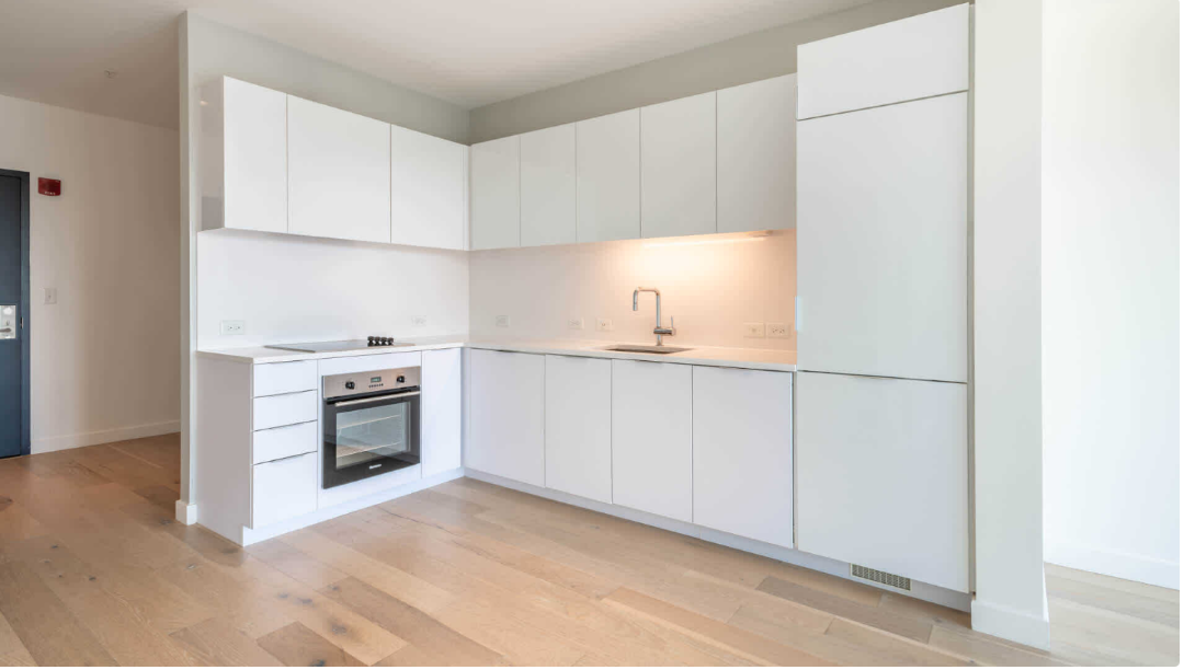 Modern kitchen with steel appliances