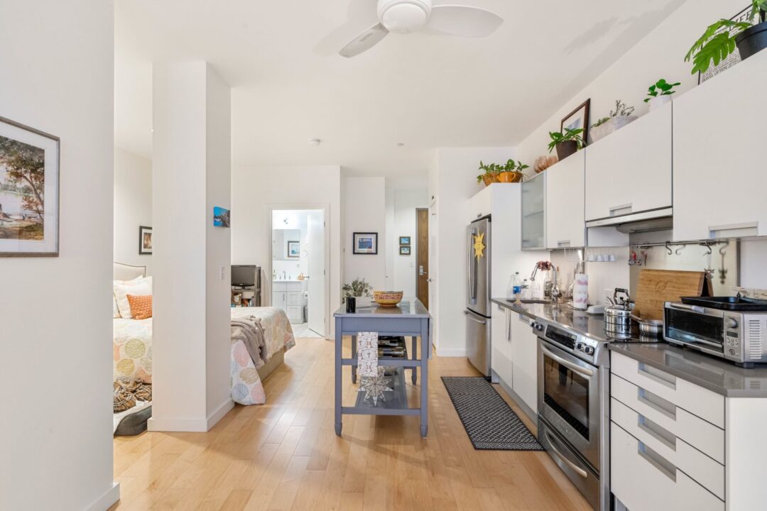 modern kitchen with stainless steel appliances, designer cabinets and luxury flooring