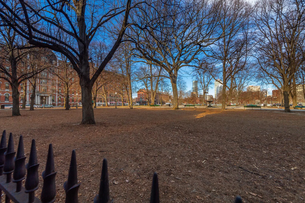 https://www.maloneyaffordable.com/wp-content/uploads/2022/10/10-St.-George-Park.png