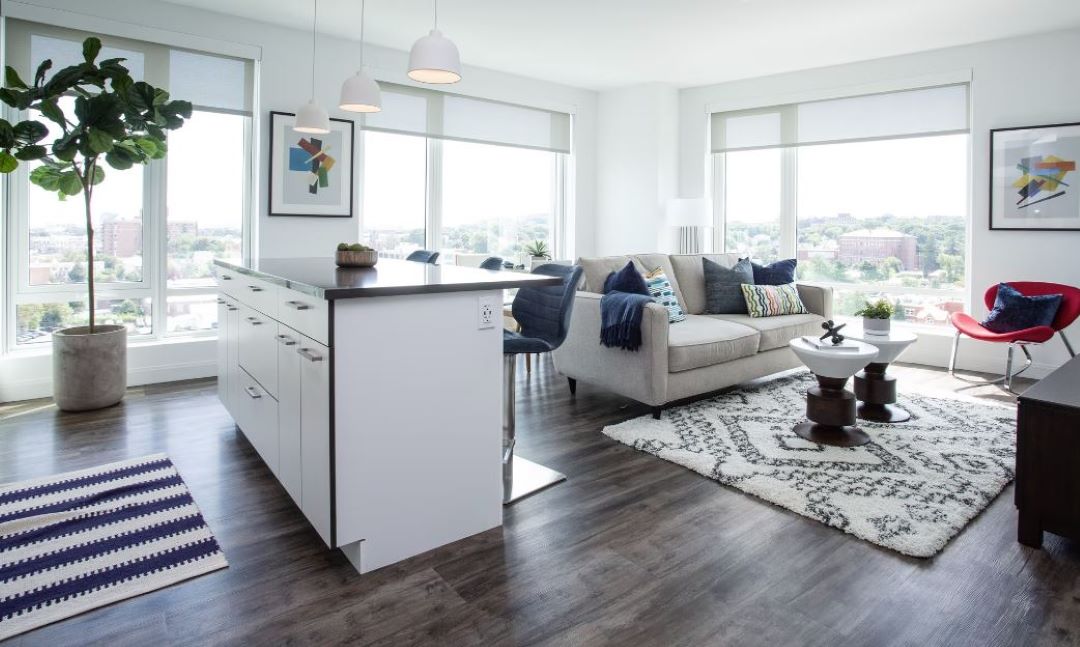 open concept living space with hardwood floors, and natural light