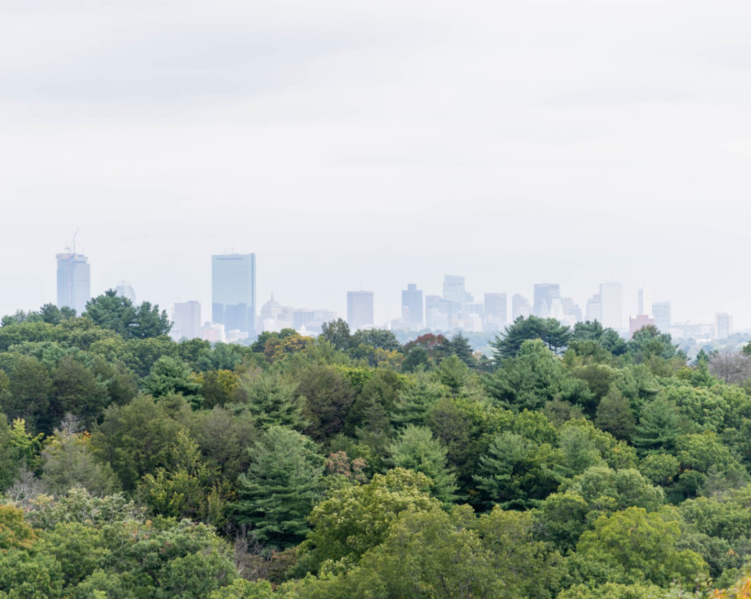 View of Boston from 211 Green Street in Jamaica Plain