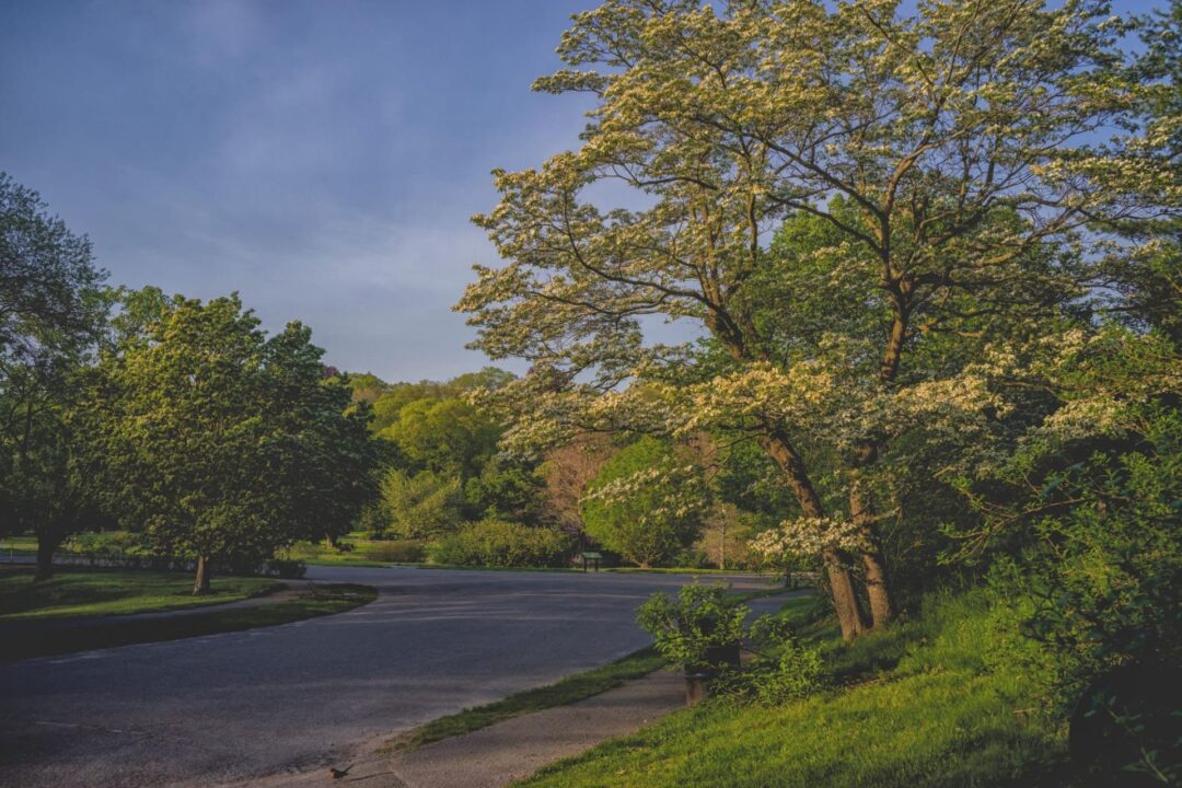 Walking trail