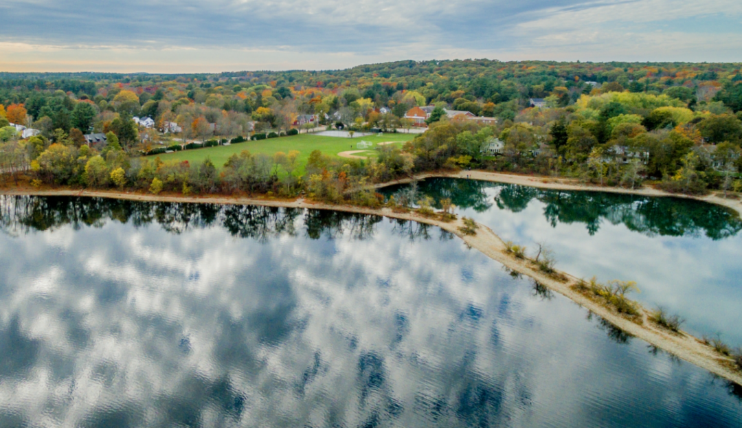 Buckmaster Pond in Westwood for 436 Washington Street
