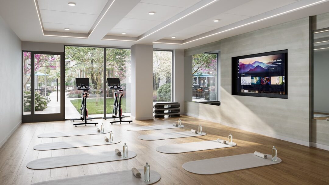 maxwell yoga studio