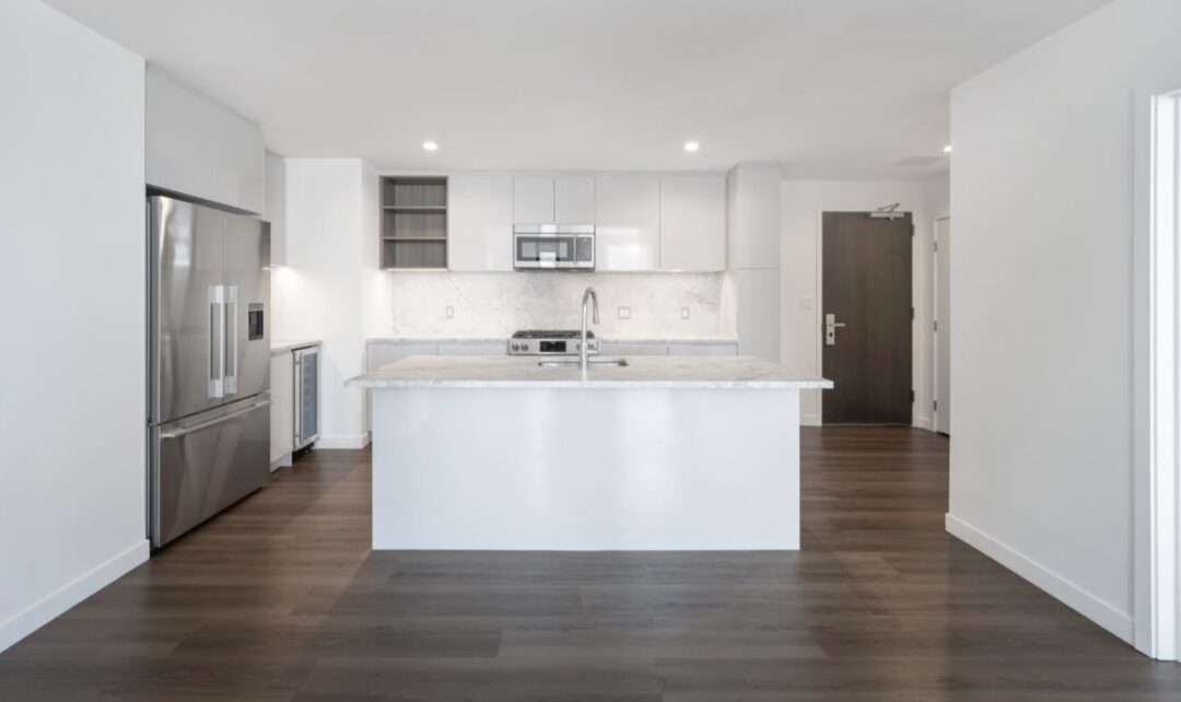 modern kitchen with white cabinets, wood floors and stainless steel appliances