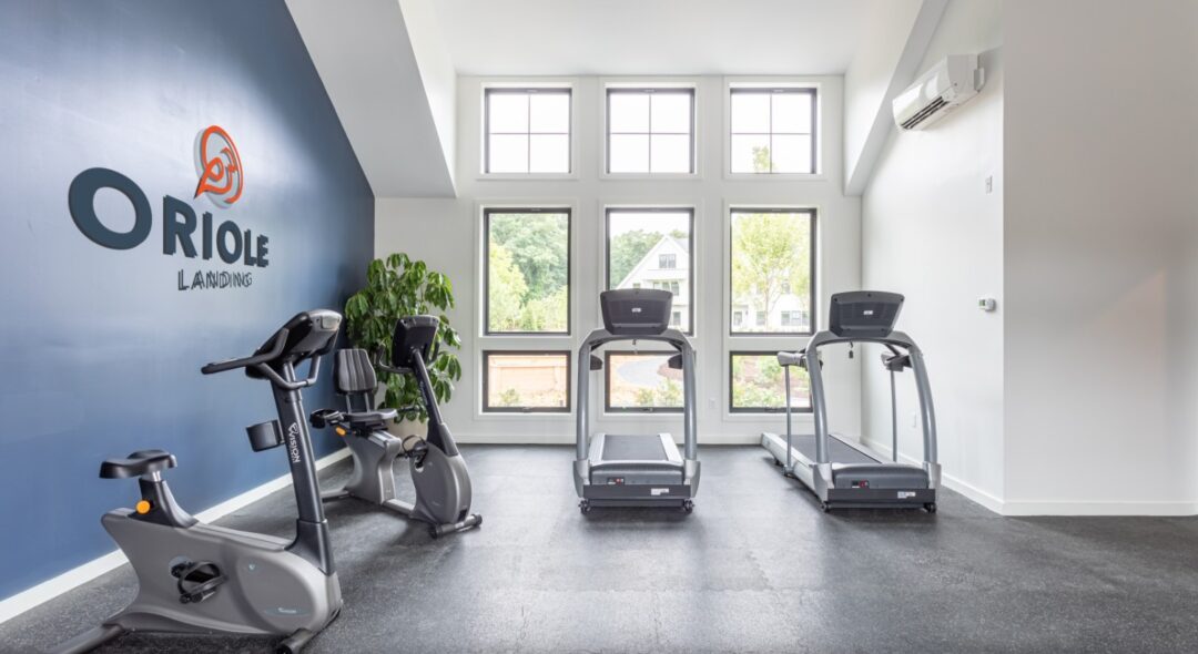 fitness center with work cardio machines and natura light