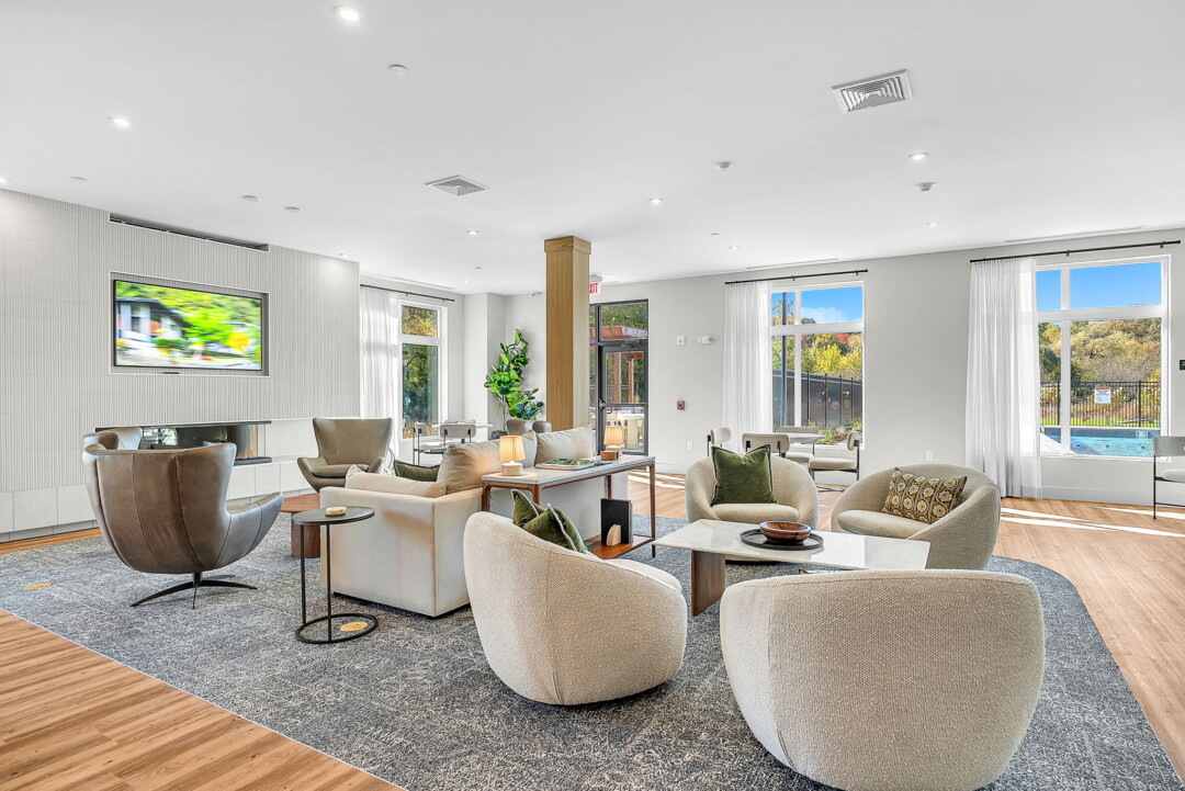 Clubroom of Vesa in Marlborough