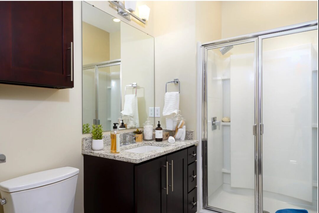 modern bathroom with glass shower and dark wood vanity and mirror