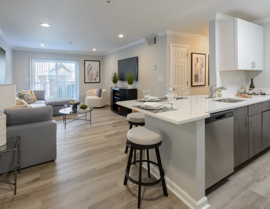 Open-concept apartment kitchen and living room with modern finishes