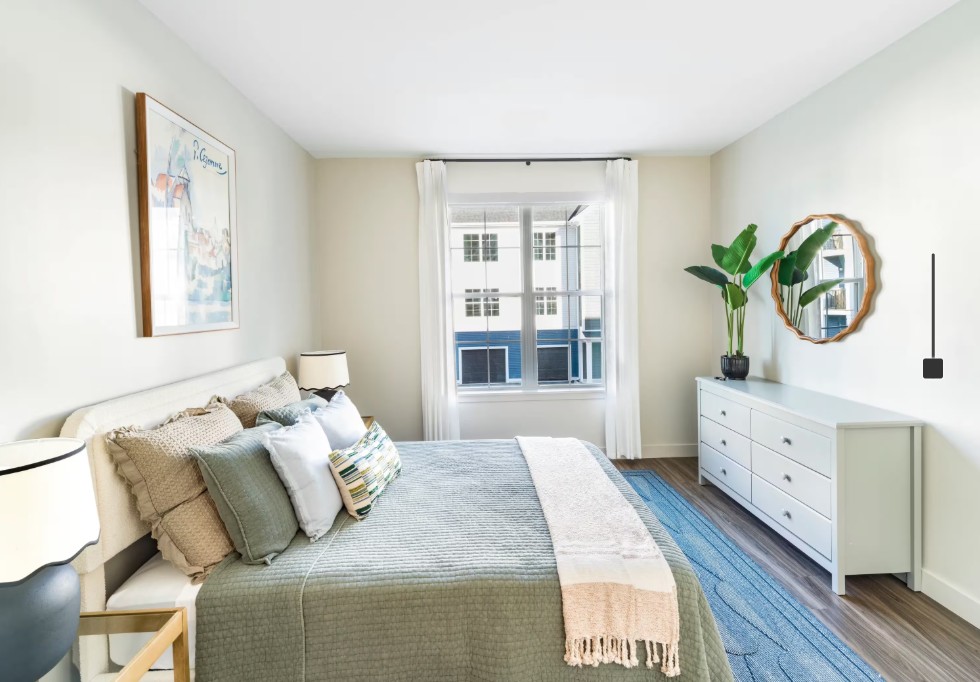 Neutral-toned bedroom with a neatly made bed, white dresser, houseplants, and a window.