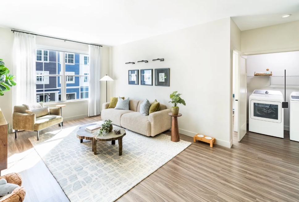 Bright living room with neutral furnishings, indoor plants, a patterned rug, and a large window.